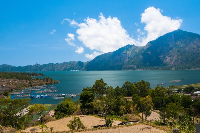Highlights of Ubud & Mount Batur Volcano - Private Day Trip - Walking the Tegalalang Rice Terrace