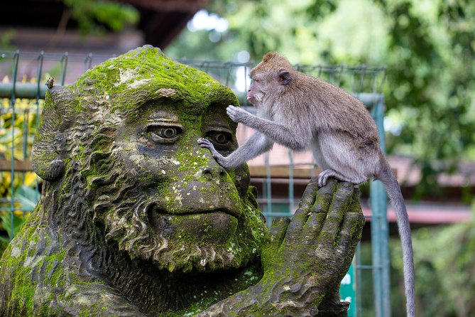 Highlights of Ubud & Mount Batur Volcano - Private Day Trip - Understanding the ritual at Tirta Empul