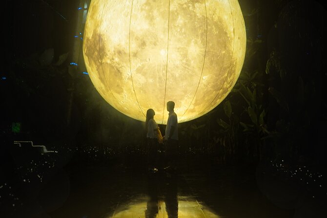Hikaria: Bali's First Immersive Night Walk - Is $13.76 good value?