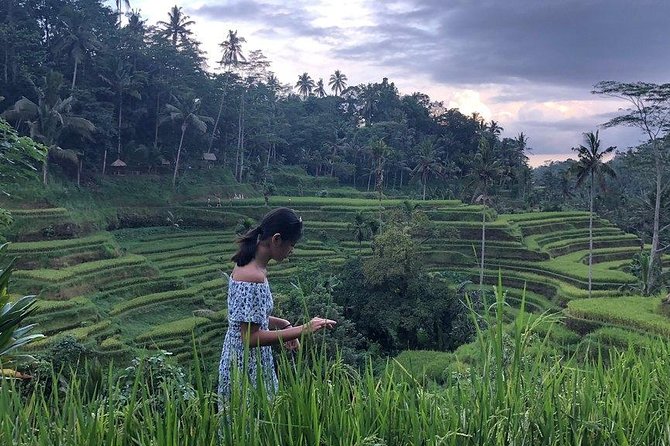Hire Bali Driver for 10-hour (Bali as You Please) - Kintamani and Bali’s cool highlands