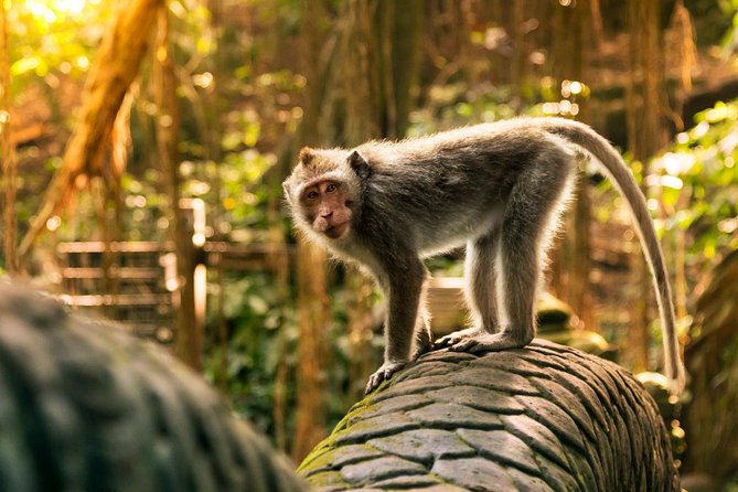 Hire Private Bali Driver - What is included, and what you still pay for