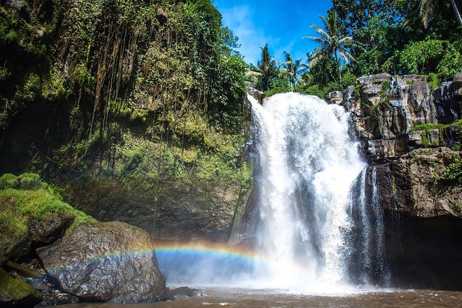 Hire Private Bali Driver - Who should book this service
