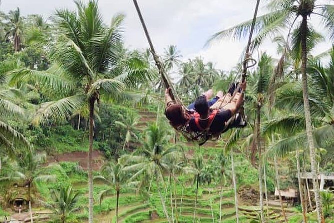 Hire Private Bali Driver - Should you book the private Bali driver?