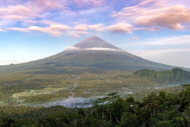 Instagram Tour Popular Spot in Bali - Private & All-inclusive - Tirta Gangga’s ponds and fountains