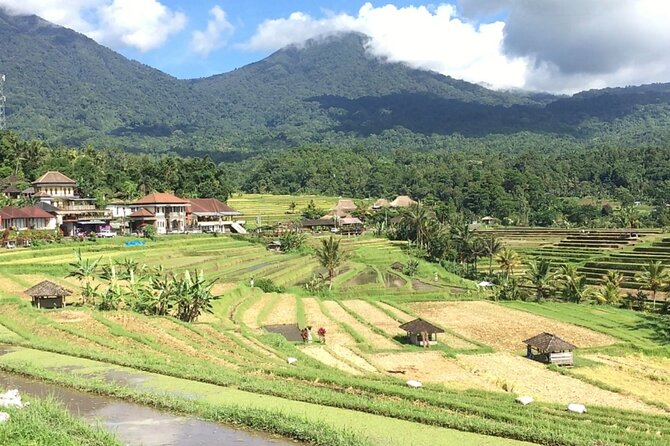 Jatiluwih Batukaru Mountain Nature's Best Tour - Group size, guides, and the level of personal service
