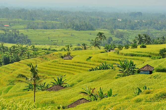 Jatiluwih Batukaru Mountain Nature's Best Tour - Who will enjoy this Batukaru day?
