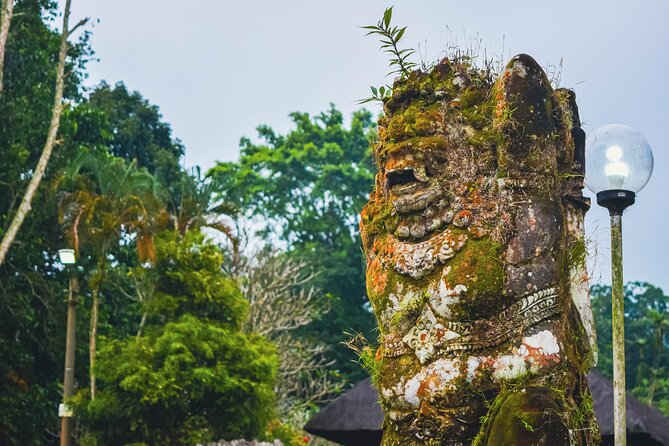 Jatiluwih Batukaru Mountain Nature's Best Tour - Should you book the Jatiluwih Batukaru tour?