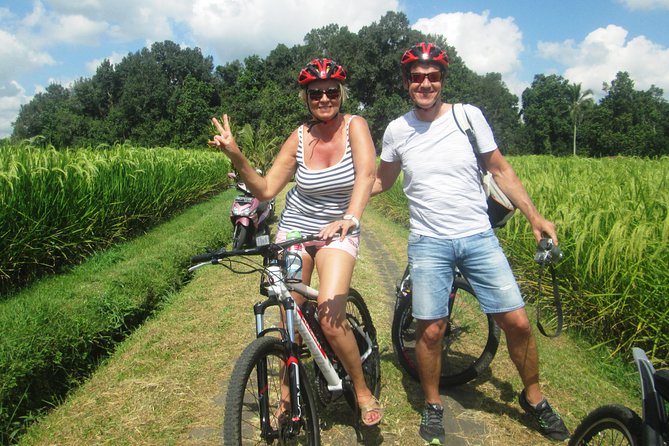 Jatiluwih in detail (1 h. e-bike tour in the rice terraces) - What the one-hour route includes
