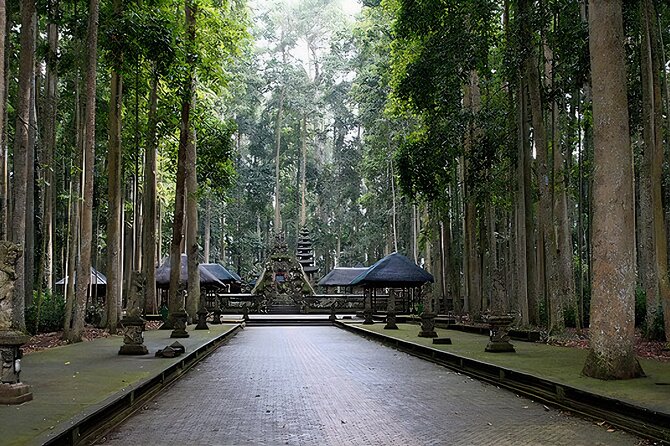 Jatiluwih Spiritual Journey of Melukat with Rice Terrace View - What the $35.60 price really covers