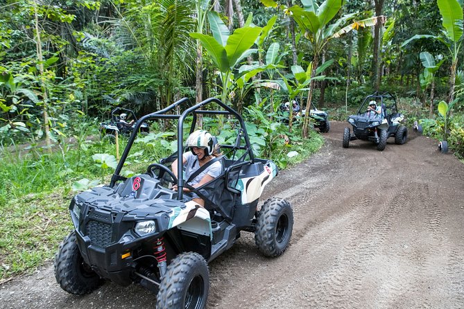 Jungle Buggy Adventure and Ubud Tour - The guides may matter as much as the route