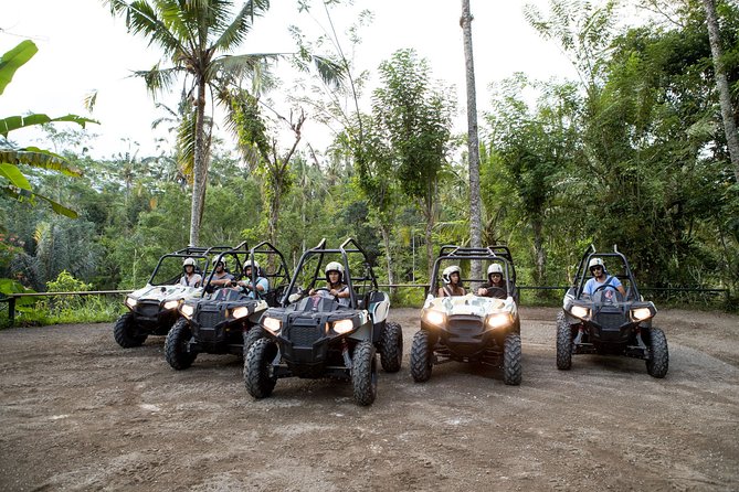 Jungle Buggy Adventure and Ubud Tour - The Sacred Monkey Forest adds a very different Ubud experience