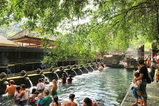 Jungle Swing - Volcano - Water Temple - Monkey Forest and Waterfall Tour - Five Bali sights in one long day