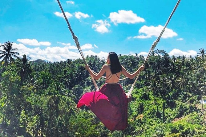 Jungle Swing - Volcano - Water Temple - Monkey Forest and Waterfall Tour - My Swing Bali: the photo-focused part of the day