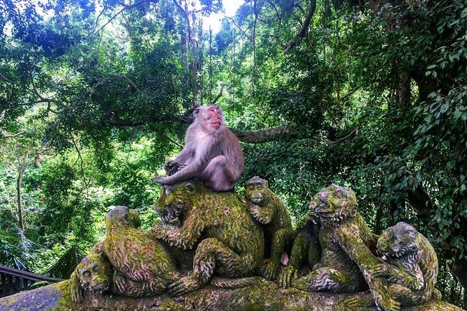 Jungle Swing - Volcano - Water Temple - Monkey Forest and Waterfall Tour - The real cost: $37 plus five admission fees