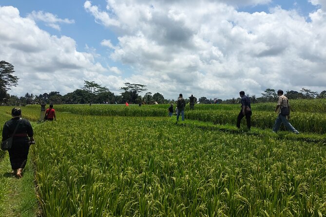 Keliki Village Tour And Rice Field Walk Including Lunch Or Dinner - Key points to know before booking