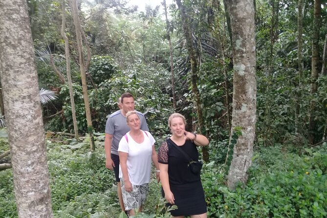 Keliki Village Tour And Rice Field Walk Including Lunch Or Dinner - From Ubud to Keliki by foot