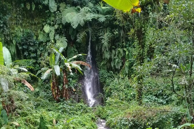 Keliki Village Tour And Rice Field Walk Including Lunch Or Dinner - Rice fields, farmers, and traditional irrigation