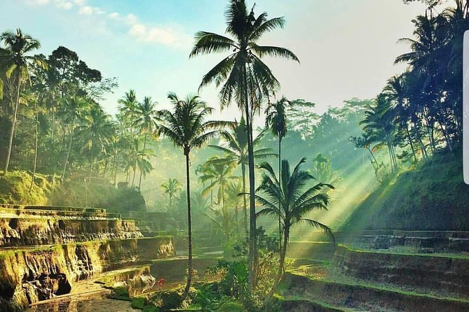 Kintamani and Tukad Cepung Waterfall Tour - Why the private format changes the day