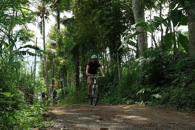 Kintamani Cultural and Nature Cycling Tour ( Manual Bike ) - Why this ride shows you more than a roadside viewpoint
