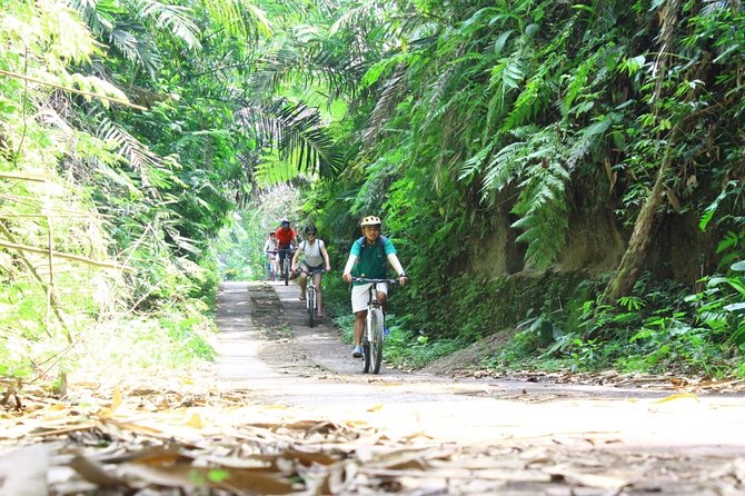 Kintamani Cultural and Nature Cycling Tour ( Manual Bike ) - Finishing at Hyang Api Temple in Payangan
