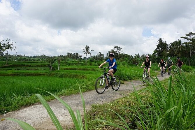 Kintamani Cultural and Nature Cycling Tour ( Manual Bike ) - Lunch at Greenkubu Restaurant and Swing