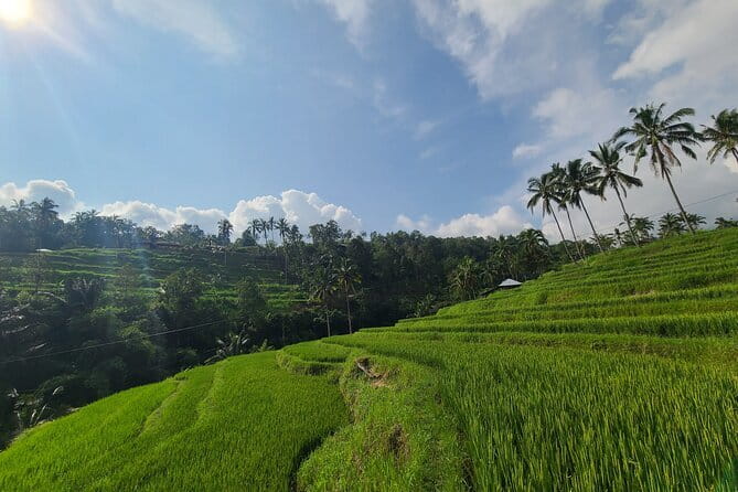 Lemukih Hidden Trekking Waterslide Sekumpul and Fiji Waterfall - The motorcycle return saves time and energy
