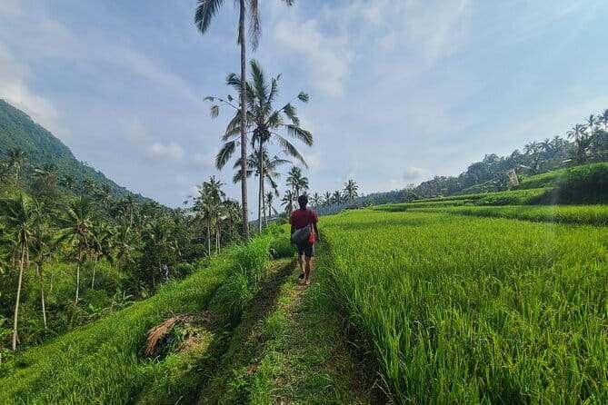 Lemukih Hidden Trekking Waterslide Sekumpul and Fiji Waterfall - Sekumpul Waterfall brings the biggest views