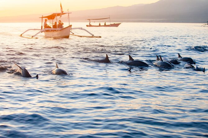 Lovina Sunrise Dolphin & Waterfall Tour - Lovina Beach and the sunrise dolphin cruise