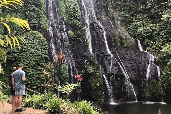 Lovina Sunrise Dolphin & Waterfall Tour - Wanagiri Hidden Hills and the view-stop question