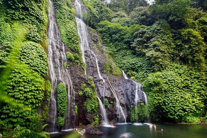 Lovina Sunrise Dolphin & Waterfall Tour - Who should book this North Bali outing