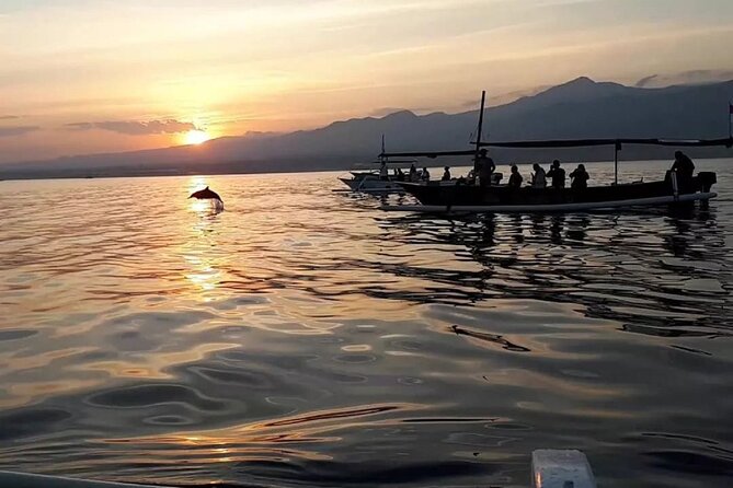 Lovina Sunrise Dolphin with option snorkeling and waterfall - Watching for dolphins from Celuk Agung Beach