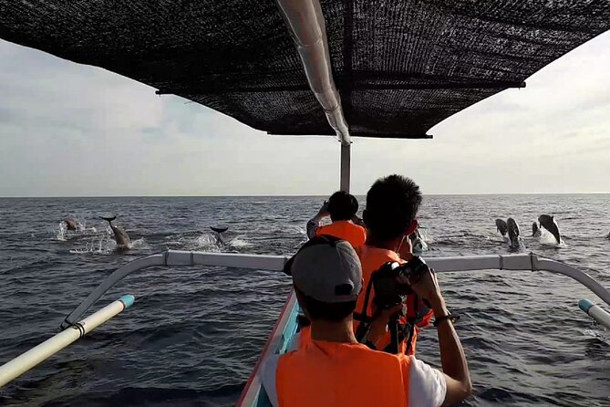 Lovina Sunrise Dolphin with option snorkeling and waterfall - The waterfall promise needs a careful check
