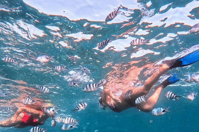 Lovina Sunrise Dolphin with option snorkeling and waterfall - The sunrise adds value, even if the dolphins do not