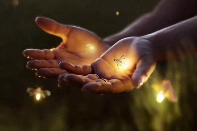 Magical Village Tour & Private Dinner with Fireflies in Bali - Why a two-hour village evening feels different