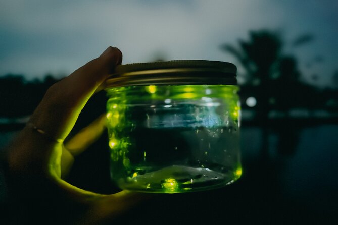 Magical Village Tour & Private Dinner with Fireflies in Bali - Walking into the rice fields after dark