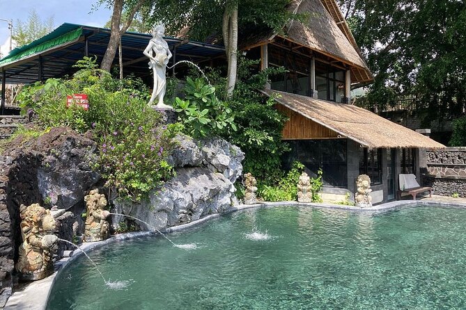 Monkey Forest, Holy Water Temple & Hot Springs Tours - What this Ubud day covers