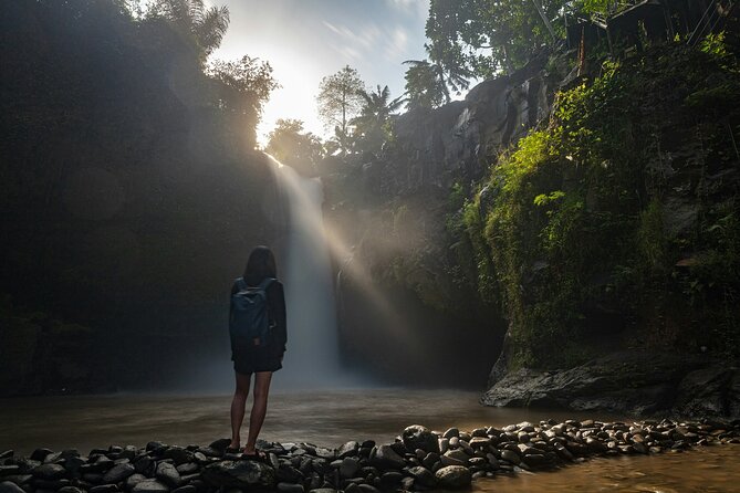 Monkey Forest, Temple, Waterfall and Rice Terrace in Ubud Tour - Tirta Empul: a working holy spring