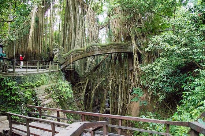 Monkey Forest Ubud Half day Tour - What this three-and-a-half-hour Ubud route is really like