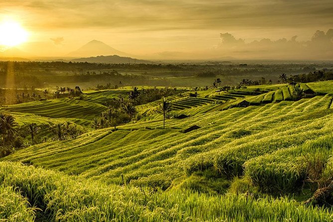 More Complete: Discover Bali In 3 Days Private Tour Package - Who should book, and who should slow down