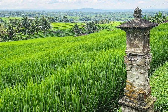 More Complete: Discover Bali In 3 Days Private Tour Package - Should you book this Bali tour?