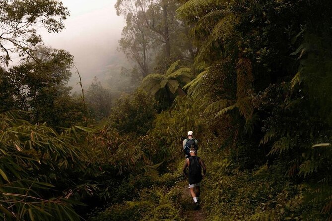 Mount Agung Sunrise Trekking with Local Guide - What the $99 Price Means