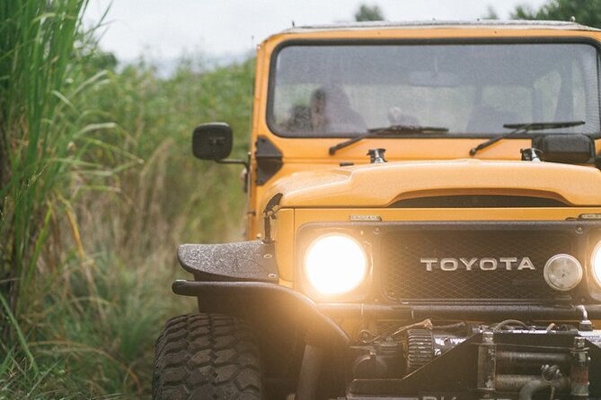 Mount Batur Black Lava Jeep Tour with Pickup - Is $40 a fair price?