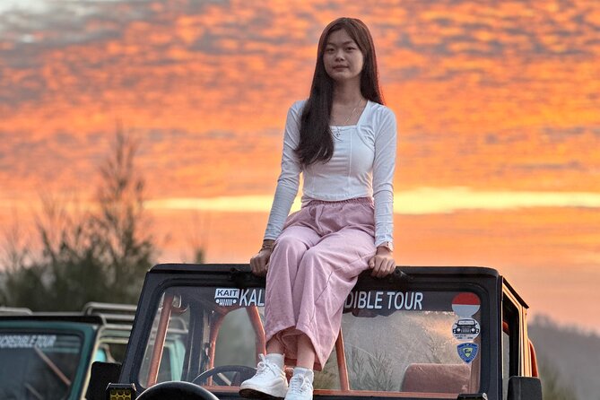 Mount batur jeep sunrise and hotsrping tour - A Jeep sunrise instead of a Mount Batur hike