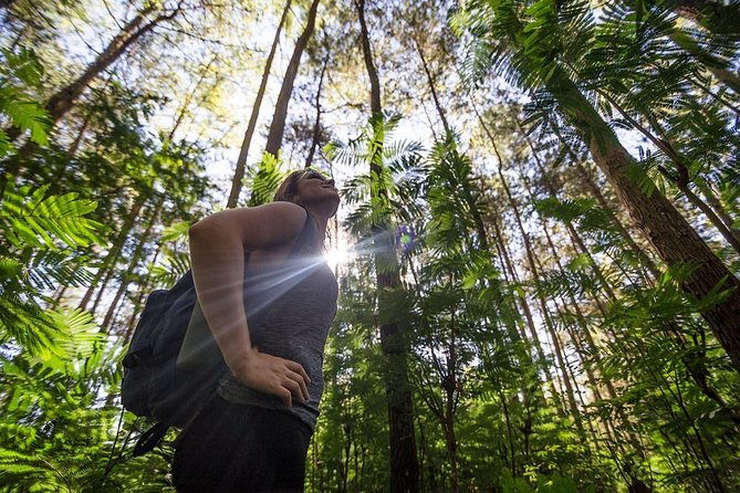 Mount Batur Sunrise Hike with Breakfast - Tegallalang and possible add-ons