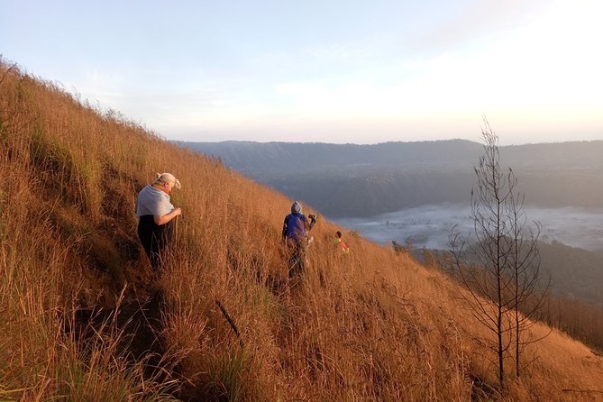 Mount Batur Sunrise Trekking Guide - How the $55.11 price measures up