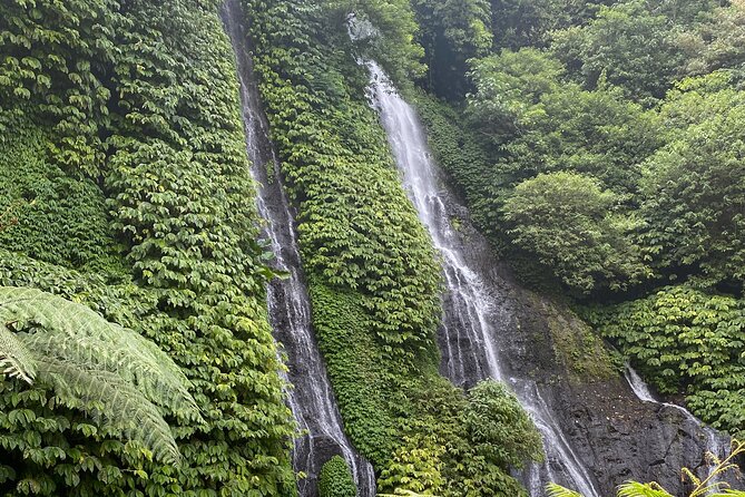 Munduk:authentic local Home cooking class - Banyumala Twin Waterfalls as the second half