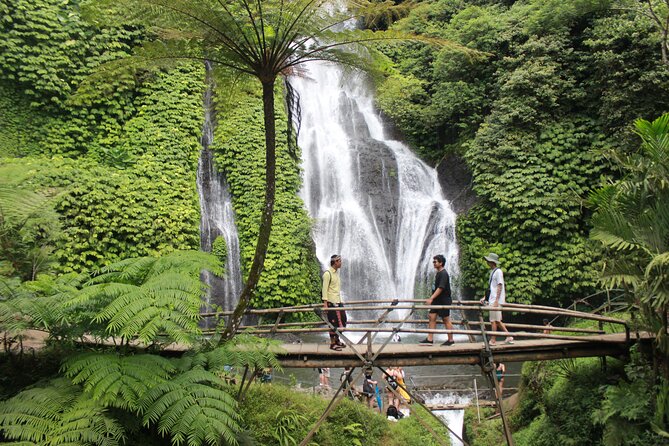 Munduk Private Customized Highlights Tour - Wanagiri Hidden Hills and the Twin Lakes View