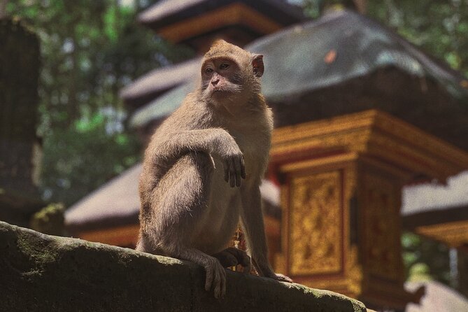 Munduk: Tamblingan jungle trek, waterfall, Ulun Danu temple - A local lunch and coffee with Oka