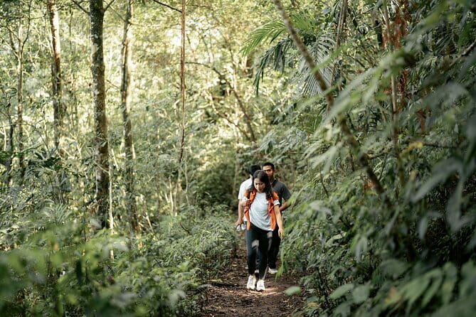 Munduk Twin Lake Jungle Hike, Ulun Danu Temple, & Waterfall - What the Tamblingan Rainforest Walk Is Like