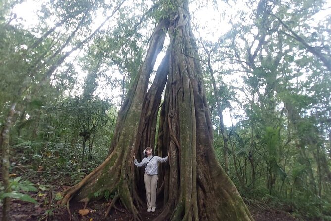 Munduk Twin Lake Jungle Trek with Sacred Forest Temples&Canoeing - Who should book this Munduk experience